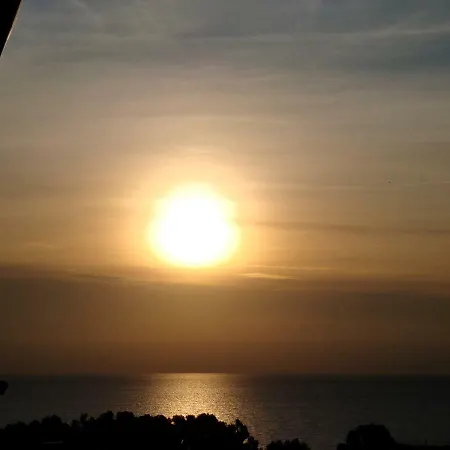 Alba Pura *